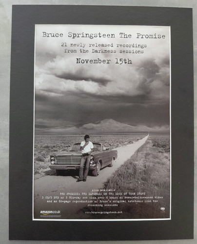 Bruce springsteen the promise - bruce,