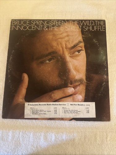 Bruce springsteen wild - bruce,
